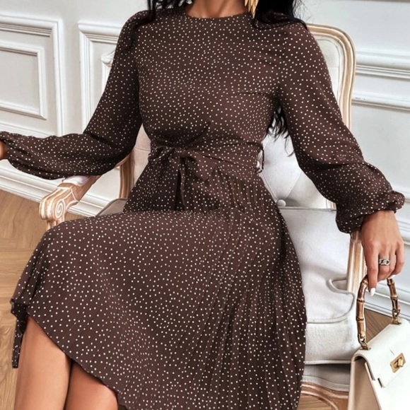 Brown Polka Dot Long Sleeve Dress - Picture 4 of 4